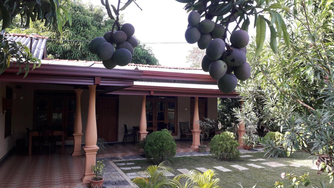 Shan Mango Homestay Сігірія Екстер'єр фото